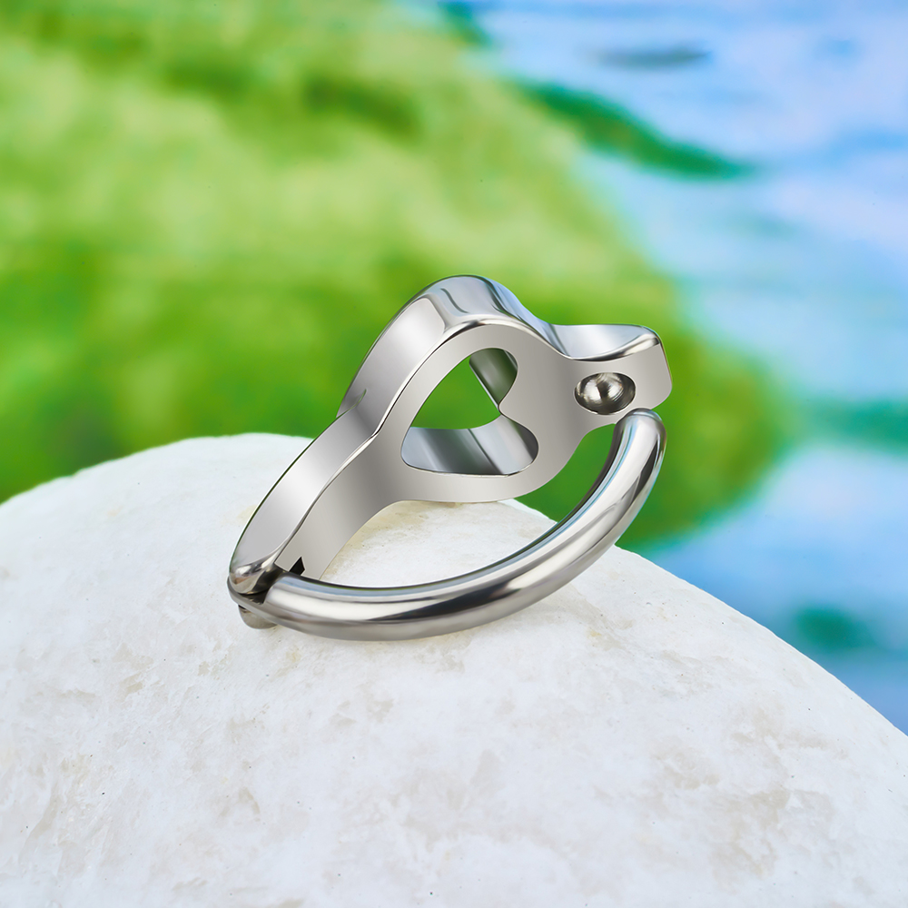 ASTM F136 Titanium 14G/16G Bel - Curved Spring Bar recensie en prijs
