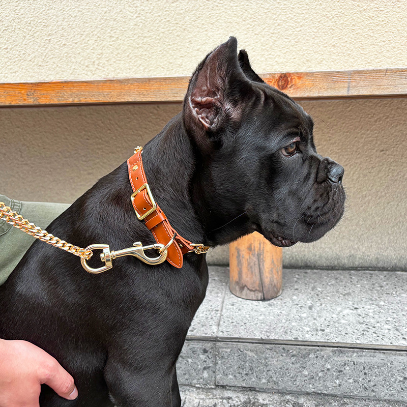Loudik Wholesale Pet Collar Le - Leather Strap Quick Release recensie en prijs